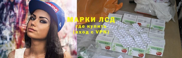 прущие грибы Алзамай