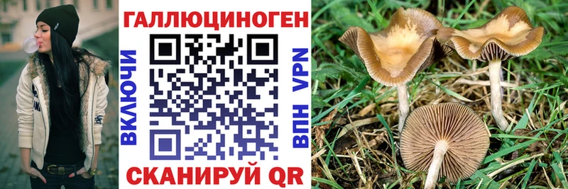Псилоцибиновые грибы прущие грибы  Боровск 